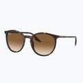 Slnečné okuliare Ray-Ban RB2204 havana/light brown 4