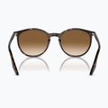 Slnečné okuliare Ray-Ban RB2204 havana/light brown 5