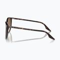 Slnečné okuliare Ray-Ban RB2204 havana/light brown 6