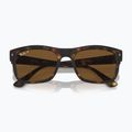 Slnečné okuliare Ray-Ban RB4428 havana matte/brown polarized 3