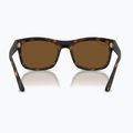 Slnečné okuliare Ray-Ban RB4428 havana matte/brown polarized 5