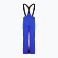 EA7 Emporio Armani pánske lyžiarske nohavice Pantaloni 6RPP27 new royal blue 2