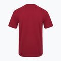 Pánske tričko Aeronautica Militare Essential burgundy 2