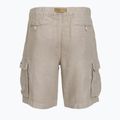 Pánske šortky Aeronautica Militare BE0280UCT04293 Bermuda shorts winter twig 2