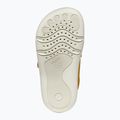 Detské barefoot topánky Geox Steppieup ochre yellow/navy 6