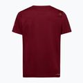 Pánske tričko La Sportiva Solution sangria 2