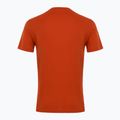Pánske tričko EA7 Emporio Armani Visibility Cotton Crew rooibos tea 2
