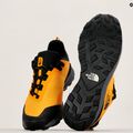 Pánske turistické topánky The North Face Cragstone WP yellow NF0A5LXDZU31 18