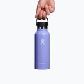 Termofľaša Hydro Flask Standard Flex 530 ml Lupine S18SX474 4