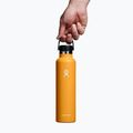 Termofľaša Hydro Flask Standard Flex Cap 710 ml fosílna 3