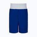 Pánske boxerské šortky Nike royal 3