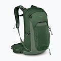 Pánsky turistický batoh Osprey Talon 22 l green canopy/pine leaf 2
