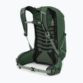 Pánsky turistický batoh Osprey Talon 22 l green canopy/pine leaf 4