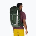 Turistický batoh Osprey Talon 33 l green canopy/ pine leaf 3