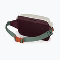 Ľadvinka Osprey Transporter Waist Pack 3 l mystery white/moody burgundy 3