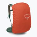 Pánsky turistický batoh Osprey Stratos 34 l pine leaf 5