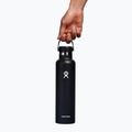 Termofľaša Hydro Flask Standard Flex Cap 709 ml black 5