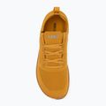Pánske barefoot topánky Xero Shoes Nexus Knit gold 5