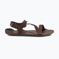 Pánske barefoot sandále Xero Shoes Z-Trek brown 2