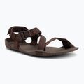Pánske barefoot sandále Xero Shoes Z-Trek brown