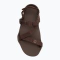 Pánske barefoot sandále Xero Shoes Z-Trek brown 5