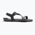 Pánske barefoot sandále Xero Shoes Z-Trail EV steel gray/asphalt