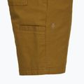Pánske šortky Royal Robbins Half Dome coyote 4