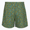 Pánske trekingové nohavice Royal Robbins All-In algae flash pt 2