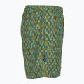 Pánske trekingové nohavice Royal Robbins All-In algae flash pt 3