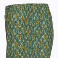 Pánske trekingové nohavice Royal Robbins All-In algae flash pt 4