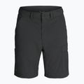 Pánske nohavice Royal Robbins Wilder Zip-Off charcoal 9