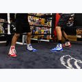 Boxerské topánky Rival RSX-Prospect white/blue 7