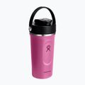 Hydro Flask Insulated Shaker 710 ml reef 2
