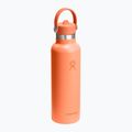 Termos Hydro Flask Standard Flex Straw 620 ml nektar 2