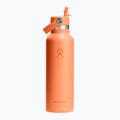 Termos Hydro Flask Standard Flex Straw 620 ml nektar