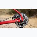 Horský bicykel Marin Bobcat Trail 3 29 gloss charcoal/red/black 6
