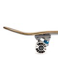 Klasické skateboardové triky Rose Complete TRCO0022A004 5