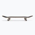 Klasický skateboard Tricks Tiger Complete silver TRCO0022A014 3