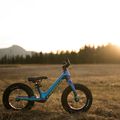 Orbea MX 12 cross-country bicykel tmavomodrý 7