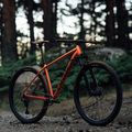 Horský bicykel Orbea Onna 40 29 2023 červený N20819NA 2023 6