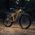 Horský bicykel Orbea Laufey H30 2023 gold N24917LX 7