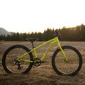 Detský bicykel Orbea MX20 Team žltý M00520I6 6