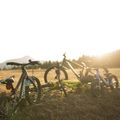 Detský bicykel Orbea MX20 Team žltý M00520I6 8