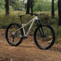 Horský bicykel Orbea Laufey H10 strieborný M24619LW 3