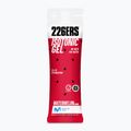 226ERS Izotonický energetický gél 68 g melón