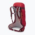 Osprey Stratos 26 l turistický batoh červený 10004053 13