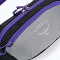 Ľadvinka Osprey Daylite Waist medium grey/dark charcoal 4
