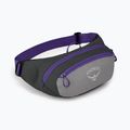 Ľadvinka Osprey Daylite Waist medium grey/dark charcoal 8