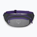Ľadvinka Osprey Daylite Waist medium grey/dark charcoal 9