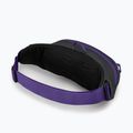 Ľadvinka Osprey Daylite Waist medium grey/dark charcoal 10